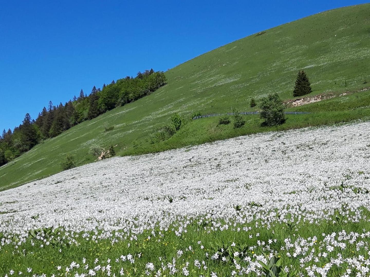Valreley, Chambres Et Table D'Hotes Eco-Friendly Avec Bain Nordique Au Sud Du Massif Du Jura Champagne-en-Valromey Ngoại thất bức ảnh